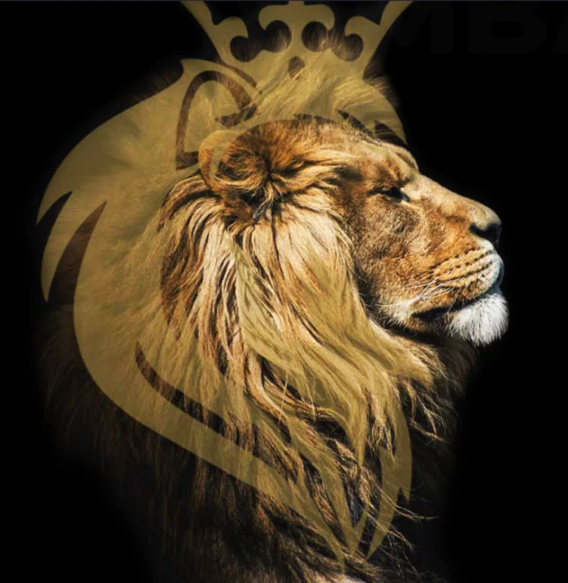 Simbah gold lion crest